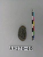 藏品(兩縊型石網墜)的圖片